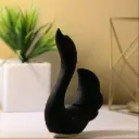 Vibrador y Succionador Cisne Negro